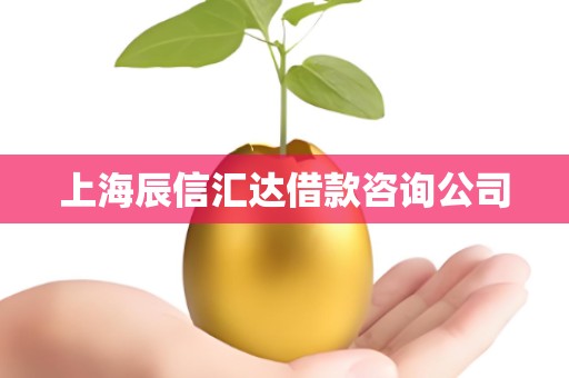 上海辰信汇达借款咨询公司