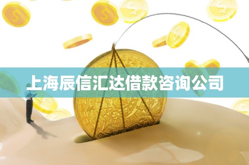 上海辰信汇达借款咨询公司