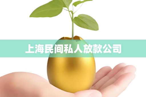 上海民间私人放款公司 上海民间私人放款公司