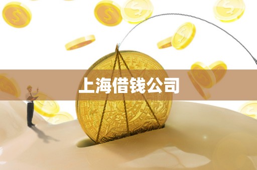 上海借钱公司 上海借钱公司