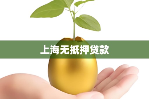上海无抵押贷款 上海无抵押贷款