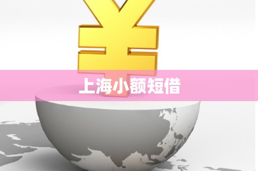 上海小额短借