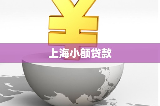 上海小额贷款 上海小额贷款